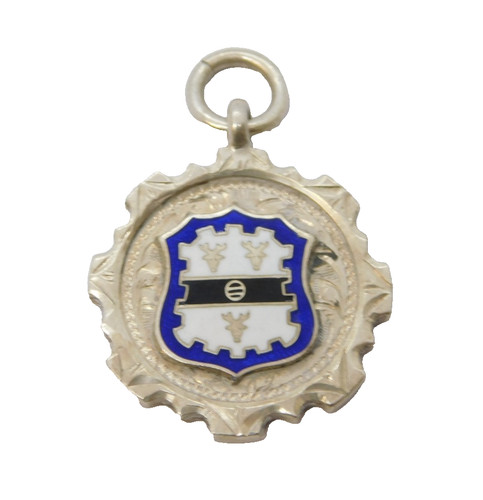 Sterling silver enamel - silver,