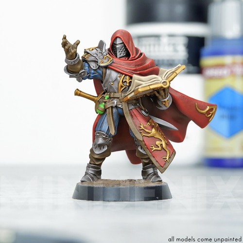 Vanguard knight paladin - vanguard,