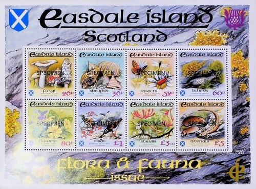 Scotland specimen birds - scotland,
