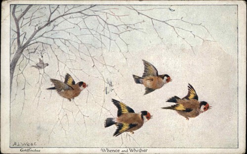 West whence and whither - al,