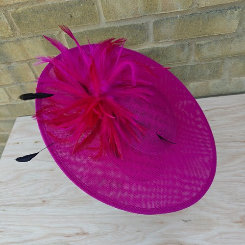 Dark pink feather - pink,