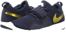Nike SB Trainerendor Men's (
