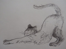 Original pencil drawing sketch