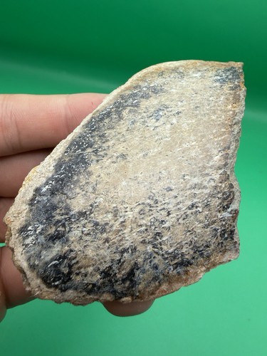 Beautiful polished bone - beautiful,