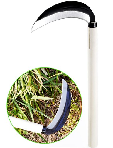 Japanese steel grass - japanese,