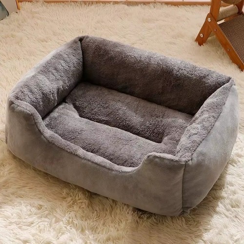 Dog cat pet - dog,