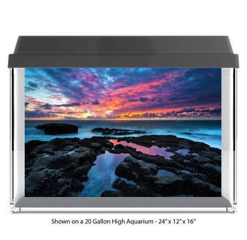 Amazing sky low tide polyester - amazing,