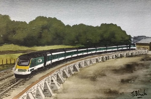 Original watercolour great - watercolour,