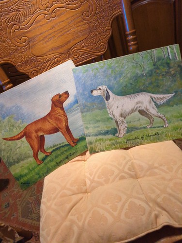 Johnson water colour dog - colour,