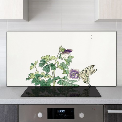 Glass kitchen cooker - glass,