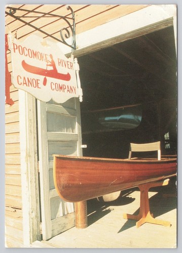 Pocomoke river canoe company - pocomoke,