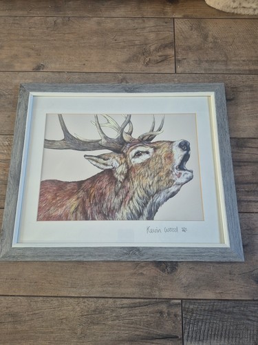 Kevin wood roaring stag - kevin, "roaring