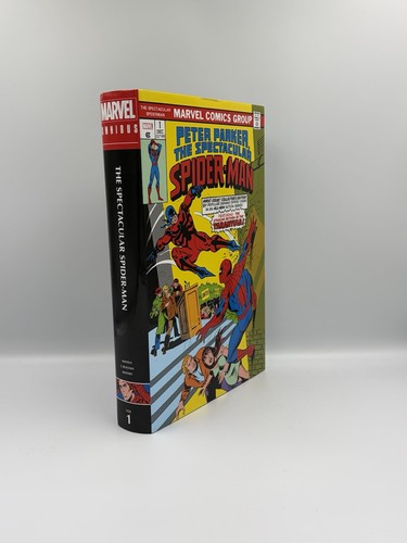 The spectacular spider man - spectacular, spider-man