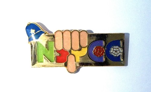 Vintage nspcc national society - vintage,