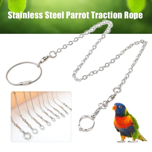Stainless steel pet bird leg - pet,
