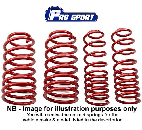 Pro sport lowering springs - lowering,