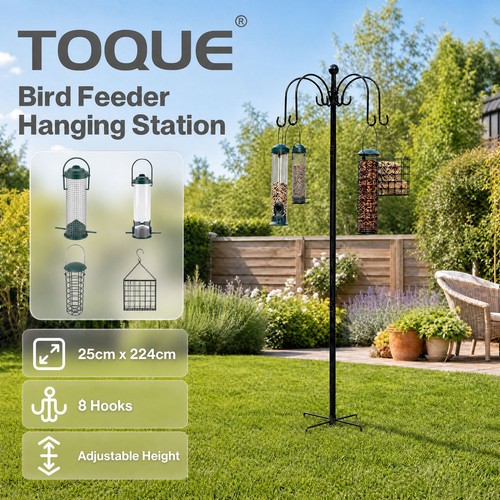 Toque complete bird - bird, feeding