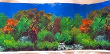Aquarium photo backsplash - aquarium,