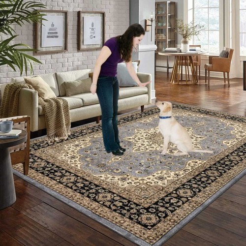 Traditional large rugs living - traditional,