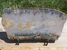 TCR Sage Plume Agate *Polished