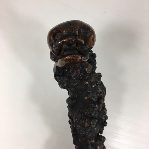 Antique rootwood root - antique, wood
