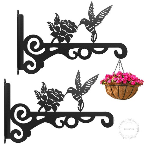 Pack aesthetic wall plant - 2-pack,