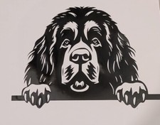 1x Tibetan Mastiff Dog Decal