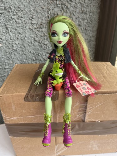 Venus mcflytrap - venus,