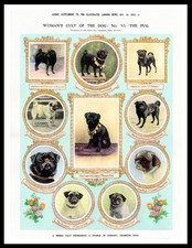 PUG NAMED DOGS LOVELY DOG ART