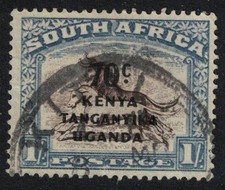 Black and Blue Wildebeest Wild