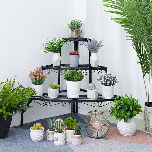 Outdoor indoor pot plant - indoor,