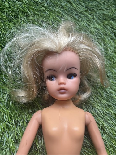 Blonde pedigree sindy - blonde,