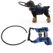 Ring harness for blind - harness,