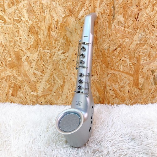 Casio 100 digital horn - casio,