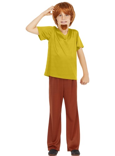 Shaggy fancy dress costume - costume,