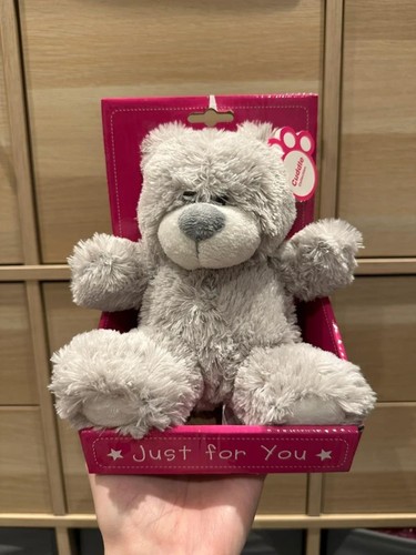 Brand new grey - , bear