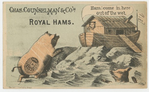 Royal hams anthropomorphic pig - royal,