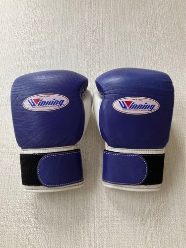 Winning boxing gloves 8oz - gloves,