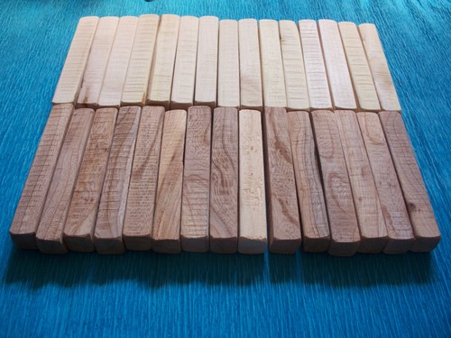 Sycamore wych elm - ,