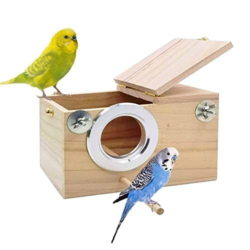 Bird nest breeding box mating - bird,