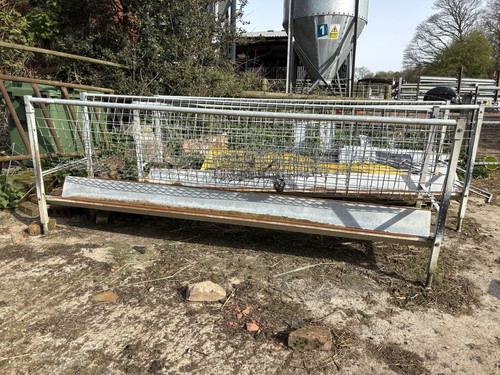 Iae 10ft sheep walk - sheep,