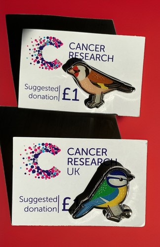 Cancer relief birds - uk, -birds(x2)