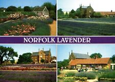 Norfolk Lavender : Vintage