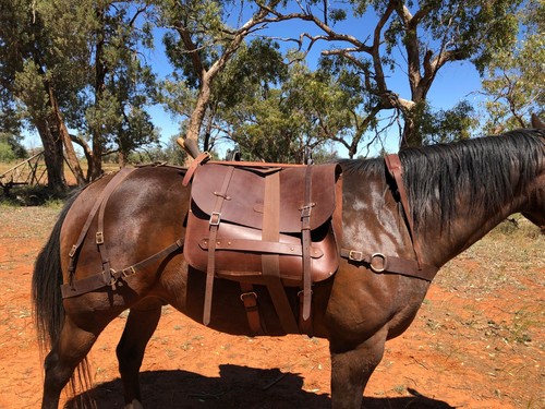 Australian horse pack saddle - australian,