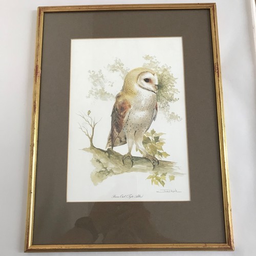 Joel kirk barn - barn, owl