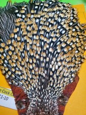 Jungle Cock Cape  Grade A   11