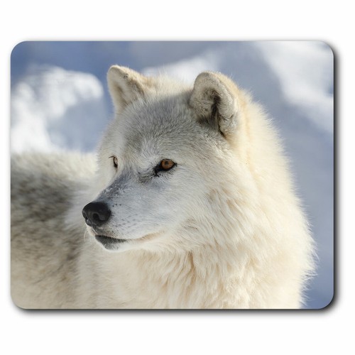 Computer mouse mat white - computer,