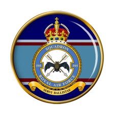 595 Squadron, RAF Pin Badge
