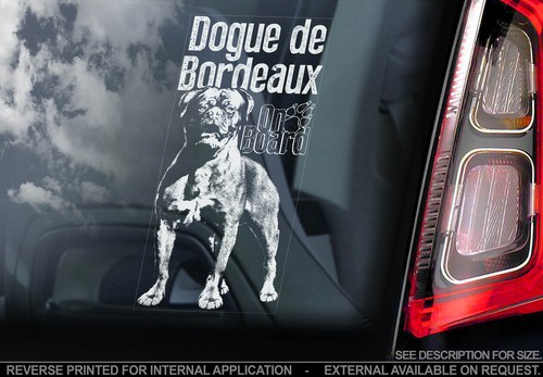 Dogue bordeaux car window - dogue,