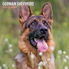 German Shepherd 2026 Traditional Calendar